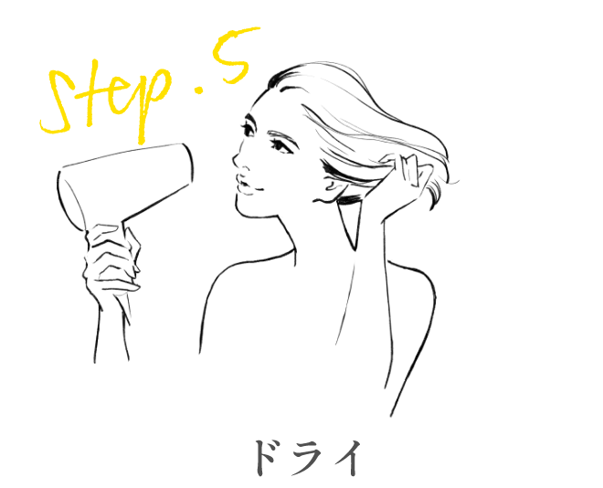 ステップ5 ドライ